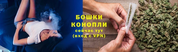 PSILOCYBIN Бородино