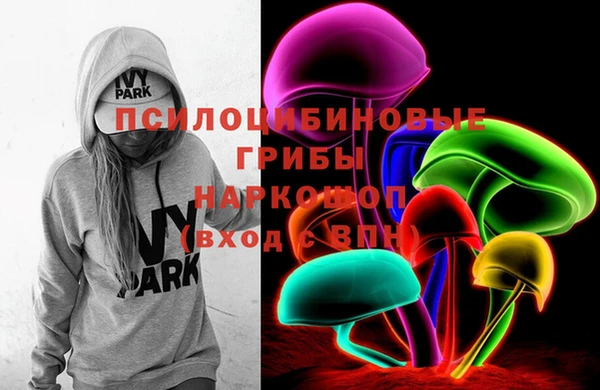 PSILOCYBIN Бородино