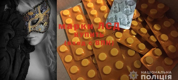 PSILOCYBIN Бородино