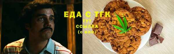 PSILOCYBIN Бородино